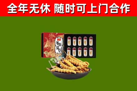 红岗回收冬虫夏草价格